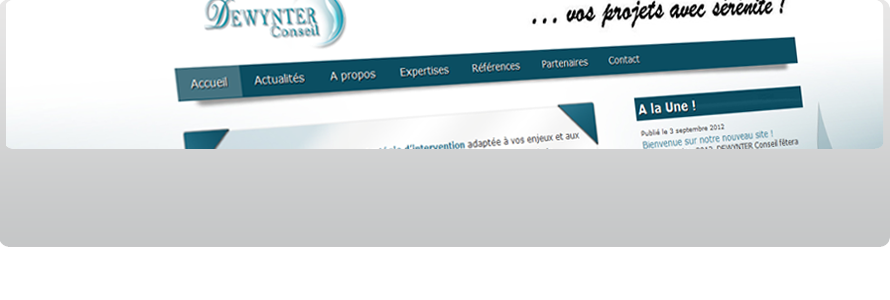 site dewynter conseil